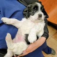 processed/8aa5fb6a-ba7d-4f73-a424-6ed14dd12872/listing/14342009-0c44-4678-a383-f41d75d10321/61acc516-e20f-43a4-8f03-354d310f6e80