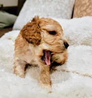 processed/8aa5fb6a-ba7d-4f73-a424-6ed14dd12872/listing/8579c953-0e8e-417a-a1a4-1fd85d457c6b/17aa3fe3-4821-4887-b62f-55b8bc069e19