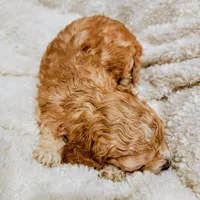 processed/8aa5fb6a-ba7d-4f73-a424-6ed14dd12872/listing/8579c953-0e8e-417a-a1a4-1fd85d457c6b/b203f1bb-c0a8-4e4e-bfca-fa9705a292fc