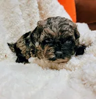 processed/8aa5fb6a-ba7d-4f73-a424-6ed14dd12872/listing/8e350ecd-e03a-4ee1-af76-d1e3b338820e/837fe8d6-a2b5-4dae-a5cc-a43217d6ada0