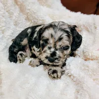 processed/8aa5fb6a-ba7d-4f73-a424-6ed14dd12872/listing/94da478a-ff66-4f7e-998b-0ad5df31a92e/79d587df-4694-4457-9764-364944eebd65