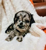 processed/8aa5fb6a-ba7d-4f73-a424-6ed14dd12872/listing/94da478a-ff66-4f7e-998b-0ad5df31a92e/926681ef-9abb-40ed-a4f3-de046cc0c895