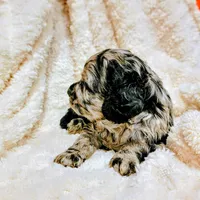 processed/8aa5fb6a-ba7d-4f73-a424-6ed14dd12872/listing/94da478a-ff66-4f7e-998b-0ad5df31a92e/92a7fe3b-1709-4350-8447-0c754ec29b4a