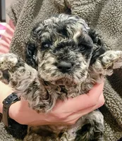 processed/8aa5fb6a-ba7d-4f73-a424-6ed14dd12872/listing/ce352713-b19e-4606-91a8-54ef0253090d/58730f74-dea4-4381-9f27-b08b90689277