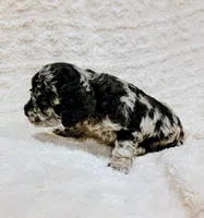 processed/8aa5fb6a-ba7d-4f73-a424-6ed14dd12872/listing/ce352713-b19e-4606-91a8-54ef0253090d/bfb5a516-83d7-4814-b87e-61e403ca3288