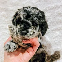 processed/8aa5fb6a-ba7d-4f73-a424-6ed14dd12872/listing/ce352713-b19e-4606-91a8-54ef0253090d/c29a673c-3b38-4f4c-96d6-cec15c6a5af7