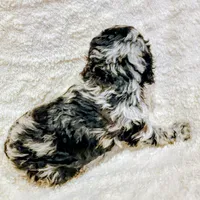 processed/8aa5fb6a-ba7d-4f73-a424-6ed14dd12872/listing/ce352713-b19e-4606-91a8-54ef0253090d/c4234412-62da-467f-9b77-bbf38e7a6ad5