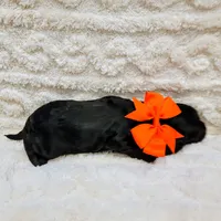 processed/8aa5fb6a-ba7d-4f73-a424-6ed14dd12872/listing/e25cd53d-b763-4af9-be32-c42c8fa74107/9138f616-e0c8-41b9-a7f6-7ff4cb423042