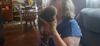 Girl 2, a female Shih Tzu for sale in Arley, AL – 1 of 3