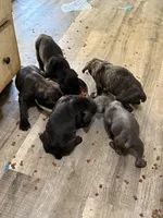 processed/8aa9cf50-e81e-49a2-a133-273d17485e7d/facility/13e23754-fe8f-4722-a78b-7a702b540d87