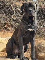 processed/8aa9cf50-e81e-49a2-a133-273d17485e7d/facility/47061f3d-a510-42af-93c8-ed82aa0f78db