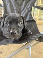 processed/8aa9cf50-e81e-49a2-a133-273d17485e7d/facility/5cd24360-50d3-4152-8cc2-de4471dc5424