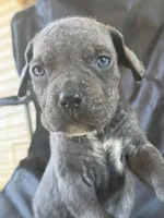 processed/8aa9cf50-e81e-49a2-a133-273d17485e7d/facility/98d81c2c-ce46-429f-8fc5-c09ea4ffa722