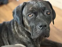 processed/8aa9cf50-e81e-49a2-a133-273d17485e7d/facility/ae3c77d9-99d0-4212-b693-1d0c87b3c022