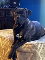 processed/8aa9cf50-e81e-49a2-a133-273d17485e7d/facility/d620f4b1-6c53-4636-bdc7-29910f0fd326