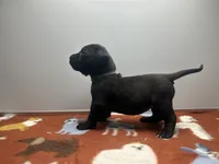 processed/8aaecfd3-a500-4b59-ab41-8472a36dbae6/listing/2851d252-321c-4b67-8870-397b93cd4fdb/0e7443c1-1772-4faf-a1a3-3642dd474428