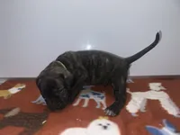 processed/8aaecfd3-a500-4b59-ab41-8472a36dbae6/listing/3d24b8fb-a572-4c54-860e-b7416d80fec4/16c6df43-0fa3-4cca-996b-da8f0b506efd