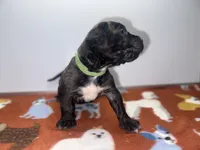 processed/8aaecfd3-a500-4b59-ab41-8472a36dbae6/listing/3d24b8fb-a572-4c54-860e-b7416d80fec4/8870347d-be2d-4c6b-8457-59b5b15f21f5