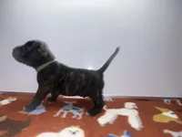 processed/8aaecfd3-a500-4b59-ab41-8472a36dbae6/listing/3d24b8fb-a572-4c54-860e-b7416d80fec4/f0a13383-b38b-4052-9973-66a81d694bde