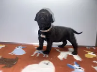 processed/8aaecfd3-a500-4b59-ab41-8472a36dbae6/listing/5ed24b6f-2bd7-4e98-9f02-2dbd52ea45ba/77d9cd6b-a126-4594-bde3-6b579abab684