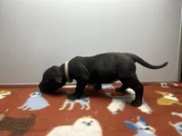 processed/8aaecfd3-a500-4b59-ab41-8472a36dbae6/listing/5ed24b6f-2bd7-4e98-9f02-2dbd52ea45ba/a36aab39-e7a6-42a8-adc7-0e2755c312b0