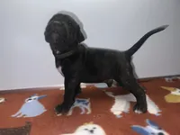 processed/8aaecfd3-a500-4b59-ab41-8472a36dbae6/listing/9fde6066-f84a-422b-86ed-3d49aa28a430/02023b5c-d81b-490e-969a-ffa50056638a