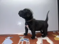 processed/8aaecfd3-a500-4b59-ab41-8472a36dbae6/listing/9fde6066-f84a-422b-86ed-3d49aa28a430/96dd52e0-86d5-4102-a3b2-28d2ca831ab4