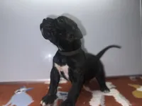 processed/8aaecfd3-a500-4b59-ab41-8472a36dbae6/listing/9fde6066-f84a-422b-86ed-3d49aa28a430/9de85d3c-37cd-4aed-a8fc-c7a4cc8a0cfc