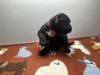 processed/8aaecfd3-a500-4b59-ab41-8472a36dbae6/listing/c5f72c32-b367-4da5-970f-af930037bc6b/31f03956-5775-4610-8de3-38f931b857cd