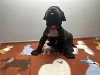 processed/8aaecfd3-a500-4b59-ab41-8472a36dbae6/listing/c5f72c32-b367-4da5-970f-af930037bc6b/5eb1affc-c3c4-4901-8b95-7afecef7ac4f