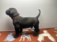 processed/8aaecfd3-a500-4b59-ab41-8472a36dbae6/listing/c5f72c32-b367-4da5-970f-af930037bc6b/6775dc51-7d70-491b-935e-7d6e87bfb9c1