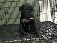 processed/8aaecfd3-a500-4b59-ab41-8472a36dbae6/listing/c5f72c32-b367-4da5-970f-af930037bc6b/6e29abaa-e301-46b3-98cd-cc923bd9795a