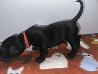 processed/8aaecfd3-a500-4b59-ab41-8472a36dbae6/listing/c5f72c32-b367-4da5-970f-af930037bc6b/cbcf2ea7-fb90-42a9-b065-d7bc741dbf34