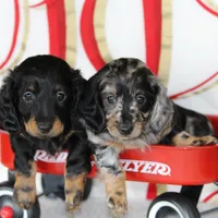 processed/8ab9cccb-5e3f-46c1-baee-a0842e027325/facility/0753fe52-7fae-4858-ba9a-fdda05af3884