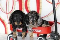 processed/8ab9cccb-5e3f-46c1-baee-a0842e027325/facility/0753fe52-7fae-4858-ba9a-fdda05af3884