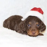 processed/8ab9cccb-5e3f-46c1-baee-a0842e027325/facility/27a9ec38-3a21-4e78-8c63-c38ec86dd5c0