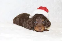 processed/8ab9cccb-5e3f-46c1-baee-a0842e027325/facility/27a9ec38-3a21-4e78-8c63-c38ec86dd5c0