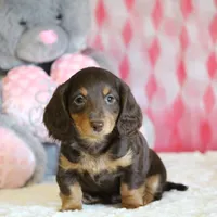 processed/8ab9cccb-5e3f-46c1-baee-a0842e027325/facility/528d27b5-2b11-49ae-80ee-03449305fc2e