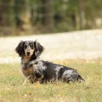 processed/8ab9cccb-5e3f-46c1-baee-a0842e027325/facility/668449e8-fc25-4af8-ac64-e80766bc634d