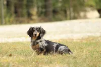 processed/8ab9cccb-5e3f-46c1-baee-a0842e027325/facility/668449e8-fc25-4af8-ac64-e80766bc634d