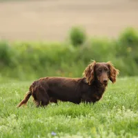 processed/8ab9cccb-5e3f-46c1-baee-a0842e027325/facility/82877ea8-d216-402e-9101-c9326cdddbda