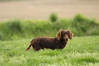 processed/8ab9cccb-5e3f-46c1-baee-a0842e027325/facility/82877ea8-d216-402e-9101-c9326cdddbda