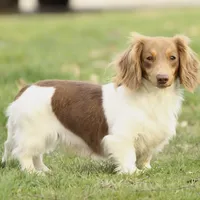 processed/8ab9cccb-5e3f-46c1-baee-a0842e027325/facility/a53e3ce9-4456-411f-972a-dd1baacc989c