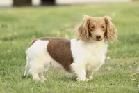 processed/8ab9cccb-5e3f-46c1-baee-a0842e027325/facility/a53e3ce9-4456-411f-972a-dd1baacc989c