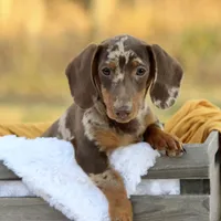 processed/8ab9cccb-5e3f-46c1-baee-a0842e027325/facility/bbdee169-133b-4e96-81b4-da0d8ee54b41