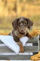 processed/8ab9cccb-5e3f-46c1-baee-a0842e027325/facility/bbdee169-133b-4e96-81b4-da0d8ee54b41