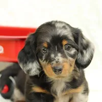 processed/8ab9cccb-5e3f-46c1-baee-a0842e027325/facility/bcc5467b-833b-4f4a-abf3-4f3787abe05a