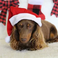 processed/8ab9cccb-5e3f-46c1-baee-a0842e027325/facility/e0b1cc23-cb90-438c-a809-1f0ecaa3c354