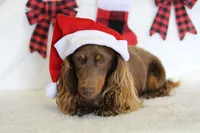 processed/8ab9cccb-5e3f-46c1-baee-a0842e027325/facility/e0b1cc23-cb90-438c-a809-1f0ecaa3c354