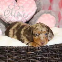 processed/8ab9cccb-5e3f-46c1-baee-a0842e027325/facility/f3be7736-e6da-4f96-836b-bfe2f5e38870